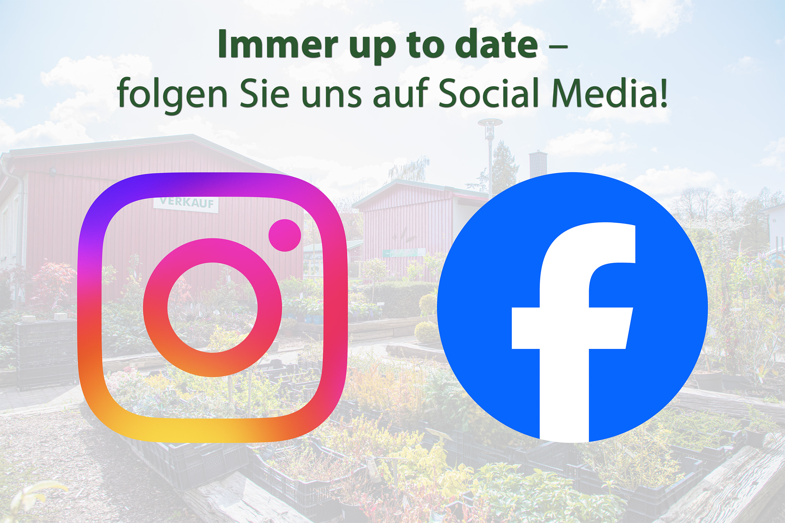 Putbuser Baumschule bei Social Media